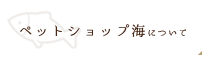 ペットショップ海について